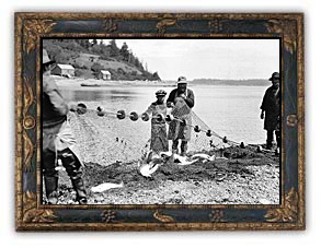 Les saumons dans la seine traînante (un large filet qui encercle le saumon sur la rivière Nimpkish), 1930 