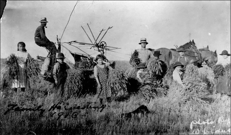Ukrainian family harvesting