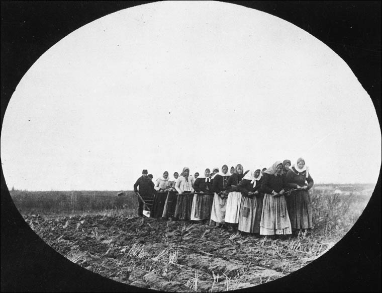 Doukhobor women are shown breaking the prairie sod by pulling a plough themselves, Thunder Hill Colony, Manitoba
