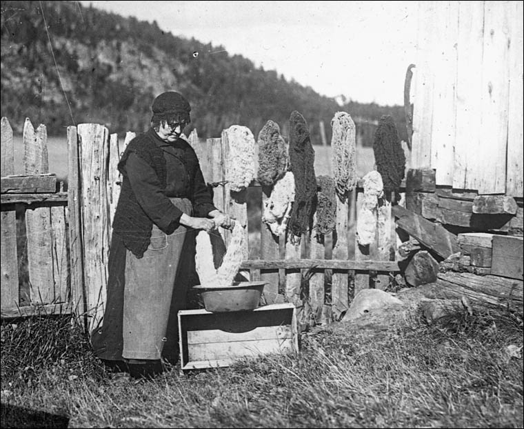 Washing wool, Cap-à-l'Aigle, Quebec