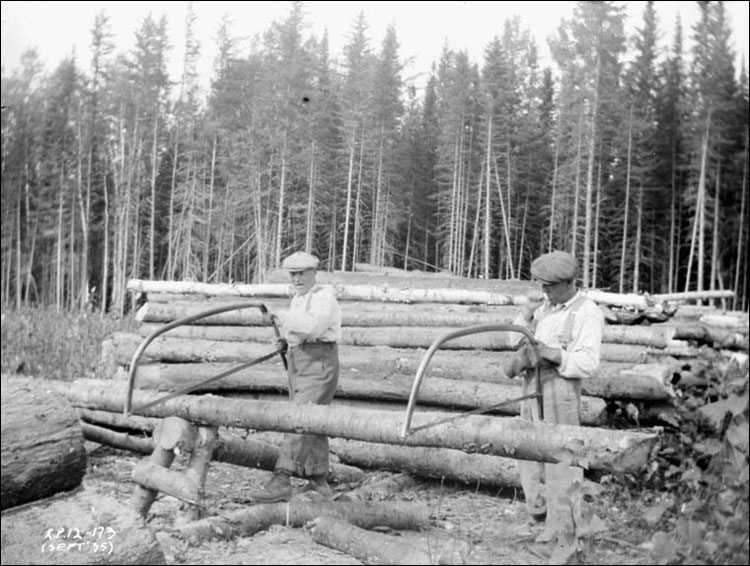 Men cutting wood, Nakina, Ontario, Sept. 1935