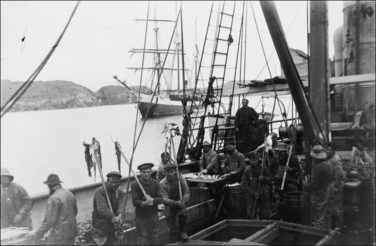 Fishing codfish on board Diana. Port Burwell, N.W.T., 1905