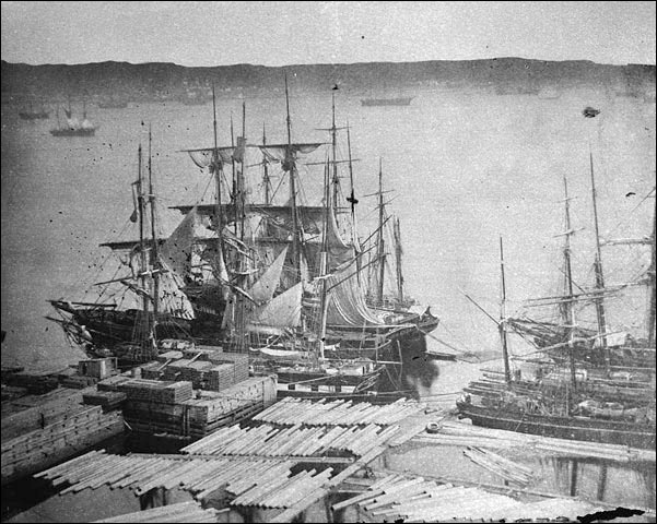 Ships loading timber, 1870
